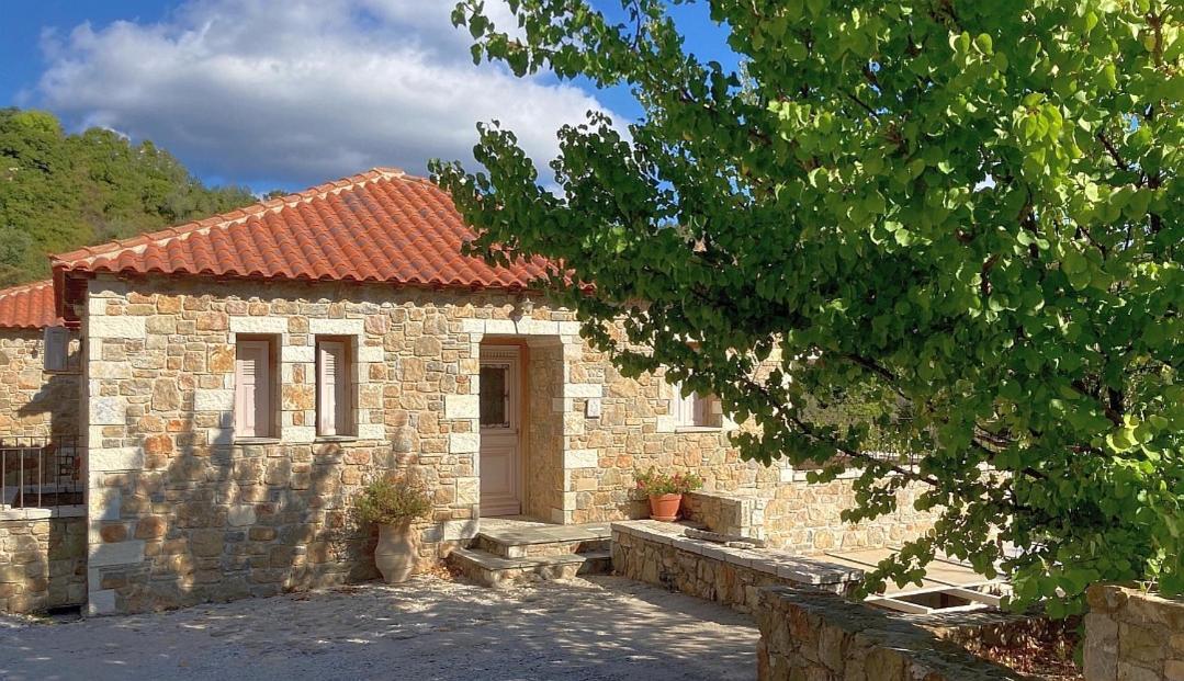 Lithea Villas And Studios By The Sea Agios Petros  Extérieur photo