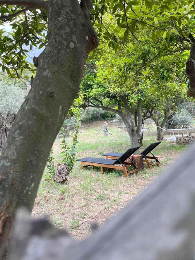 Lithea Villas And Studios By The Sea Agios Petros  Extérieur photo