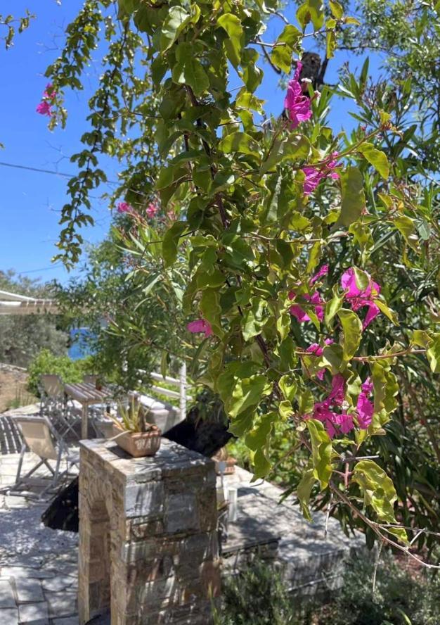 Lithea Villas And Studios By The Sea Agios Petros  Extérieur photo